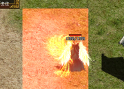 神龙之魂添加外观